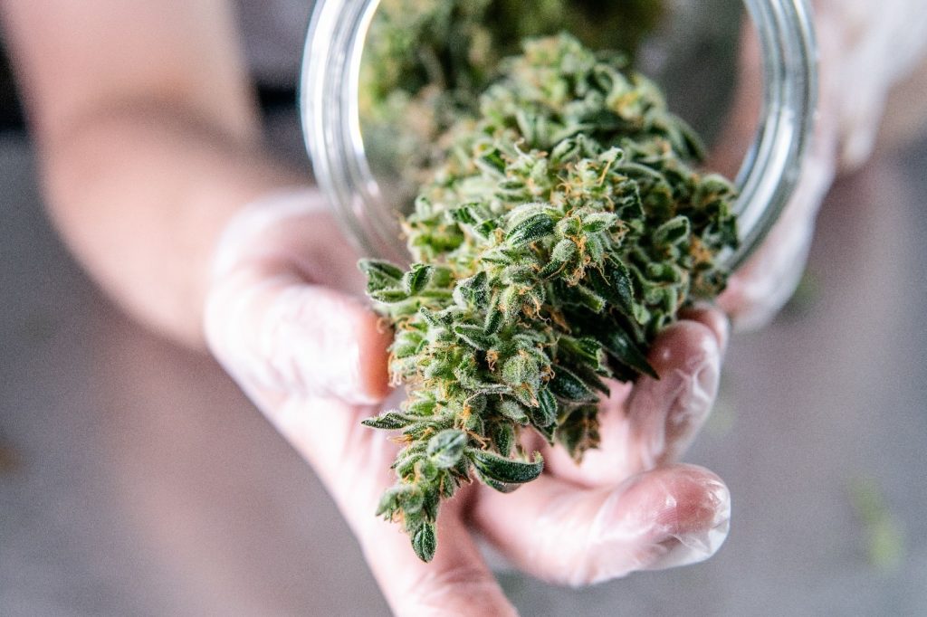 Daniel Fung Watertown CT explains why understanding the risks and rewards of investing in marijuana stocks is crucial for those looking to navigate this space.