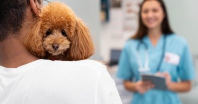 Dr. Cindy Maro on Hidden Signs of Anxiety in Pets