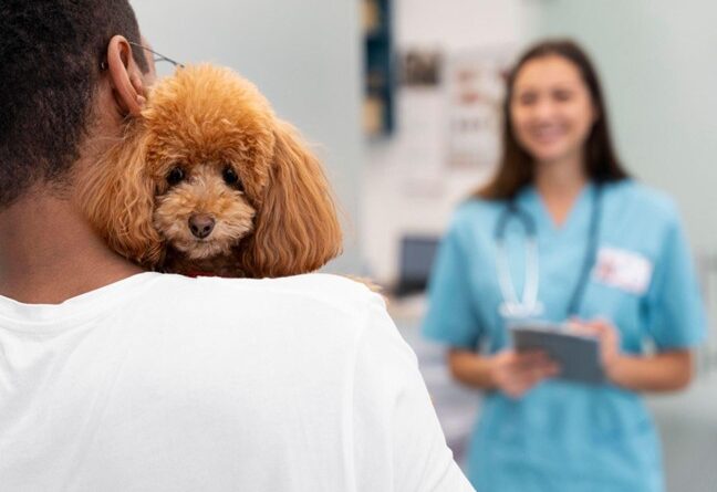 Dr. Cindy Maro on Hidden Signs of Anxiety in Pets