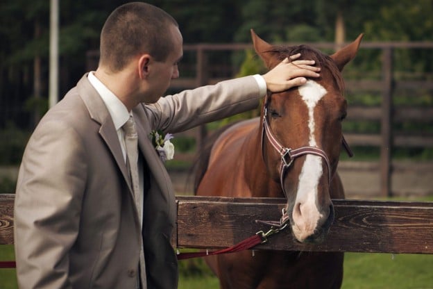 Equine Attorney