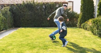 Why the Transition Between Lawn and Hardscape Matters More Than Homeowners Realize